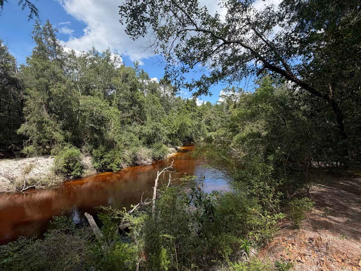 River Offshoot trail photo