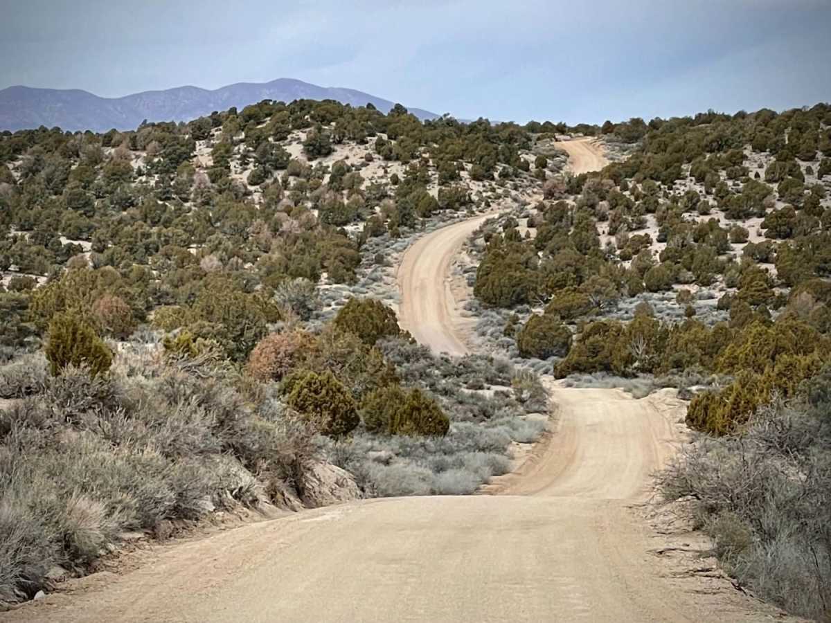 Beaver Dam Road trail photo