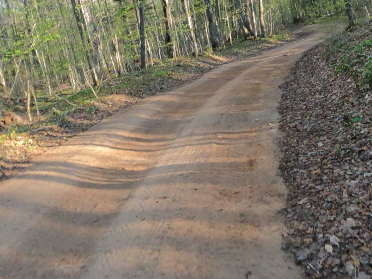 West Bear Lake Road photo 6