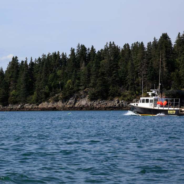 Near Little River Island Near Little River Island