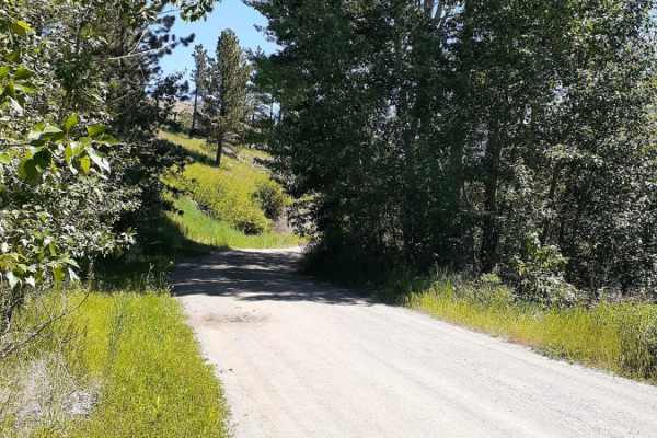West Bridger Creek Cruise