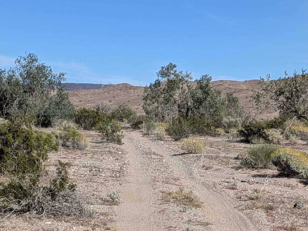 BLM 629 trail photo