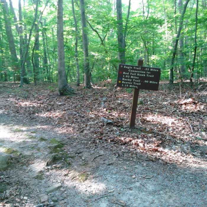 Near Wood Duck Trail