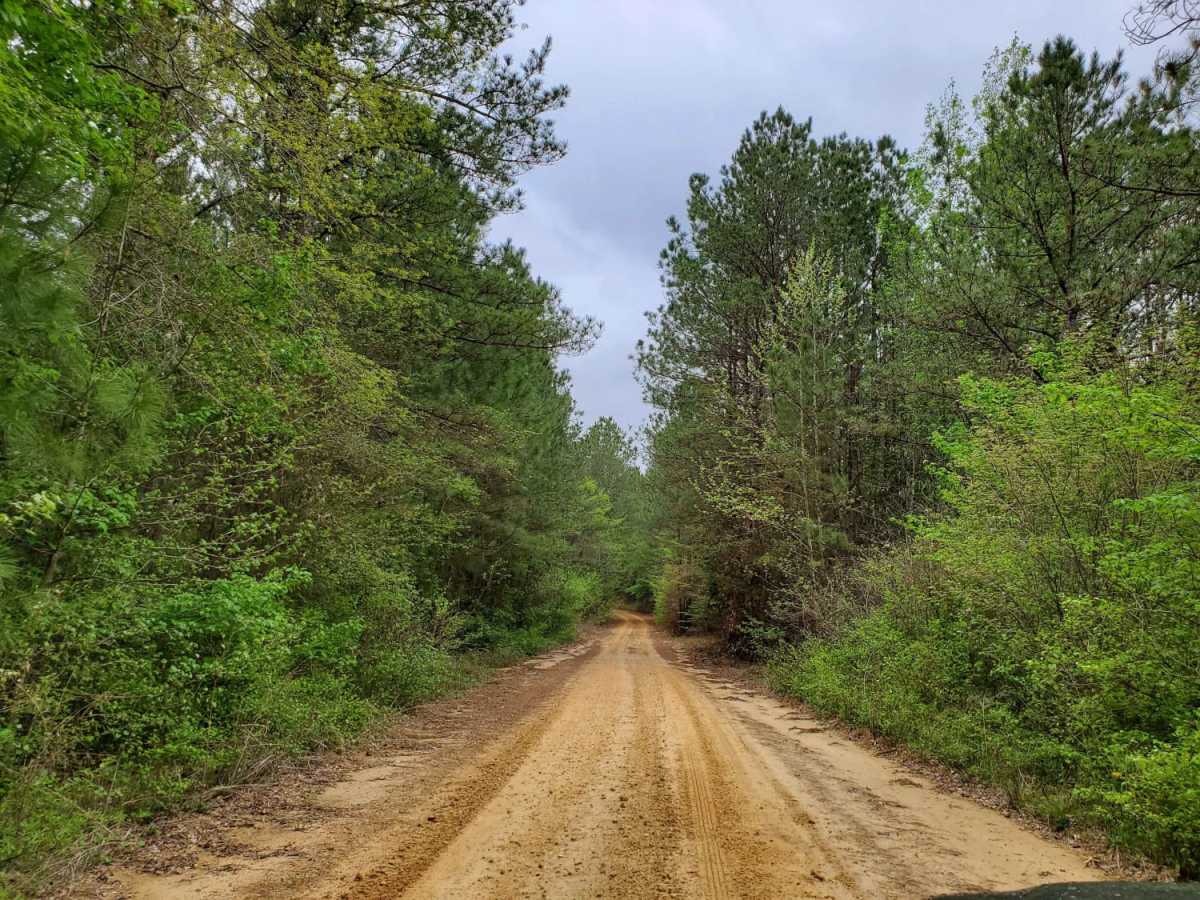 The Arkansas Overland Route - Section 5 - Highway 76 to Highway 278 photo 5