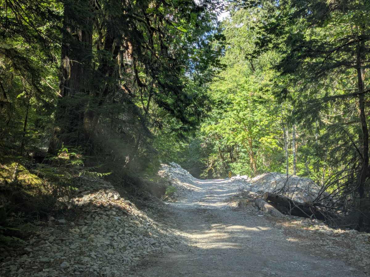 North Fork Skykomish photo 4