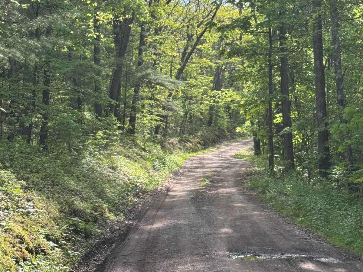 Greens Run Road photo 2