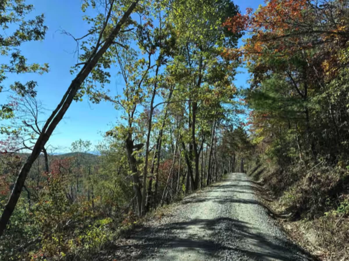 Dobson Knob - FS 106 photo 6