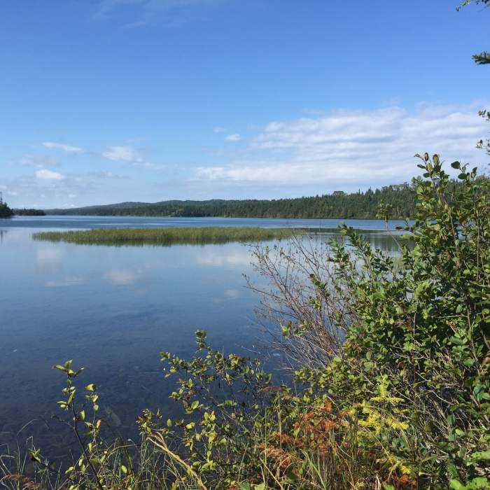 A view from the trail along Tobin Harbor. Near Stoll Memorial Trail