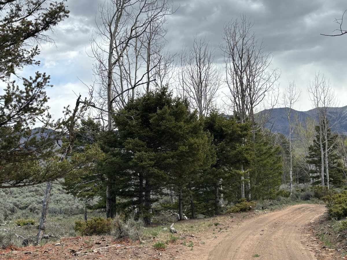 Raghorn Road photo 5