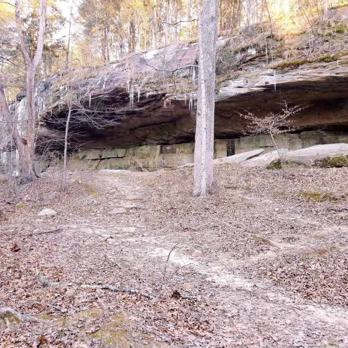 Near Trail #404