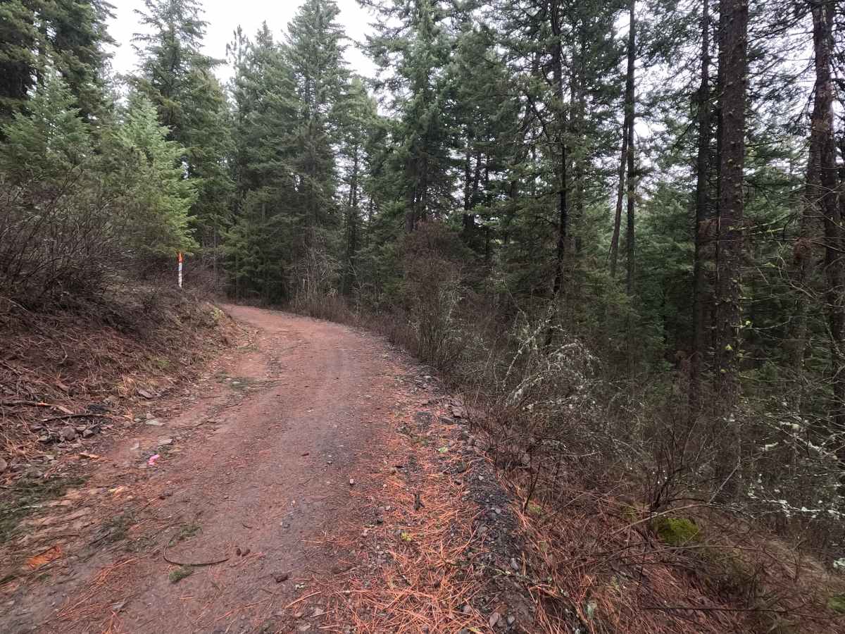 Potato Hill Road - Trail 783 photo 4
