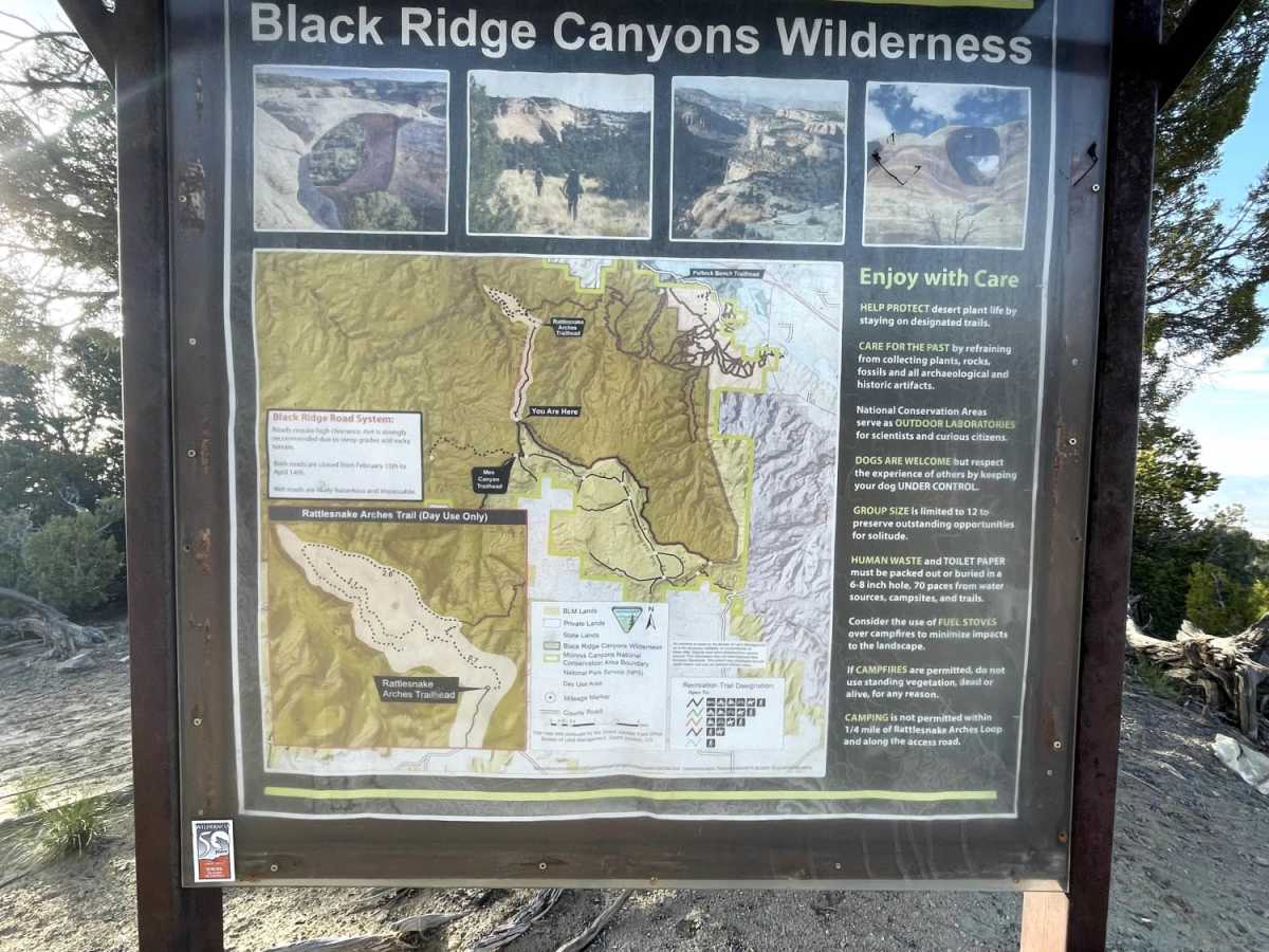 Rattle Snake Canyon photo 5