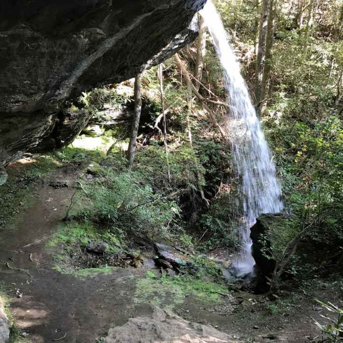 Near Moonshine and Confusion Falls Trail