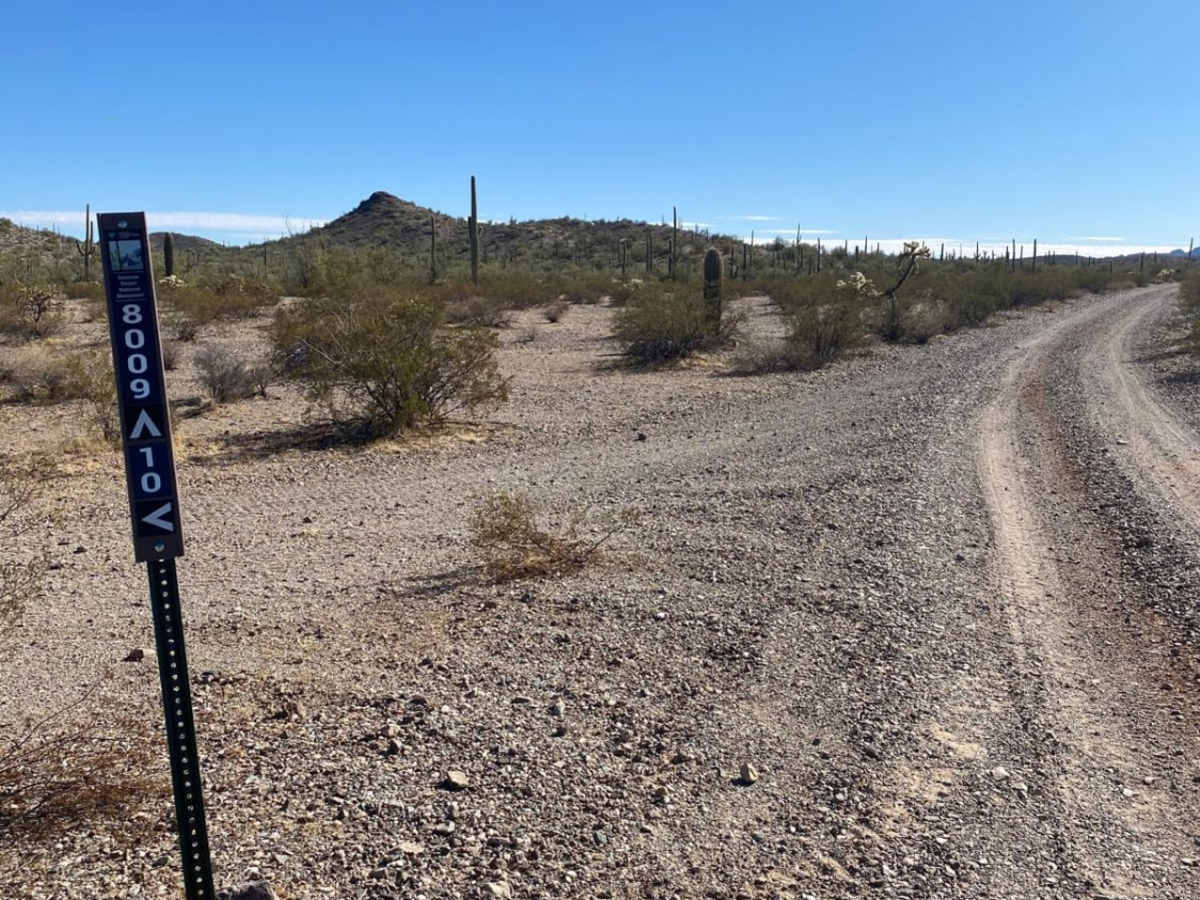 Sonoran Desert 8009 photo 3