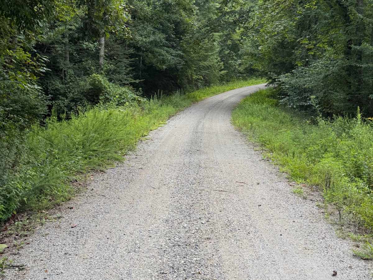 Boone Fork - FS 2055 photo 6