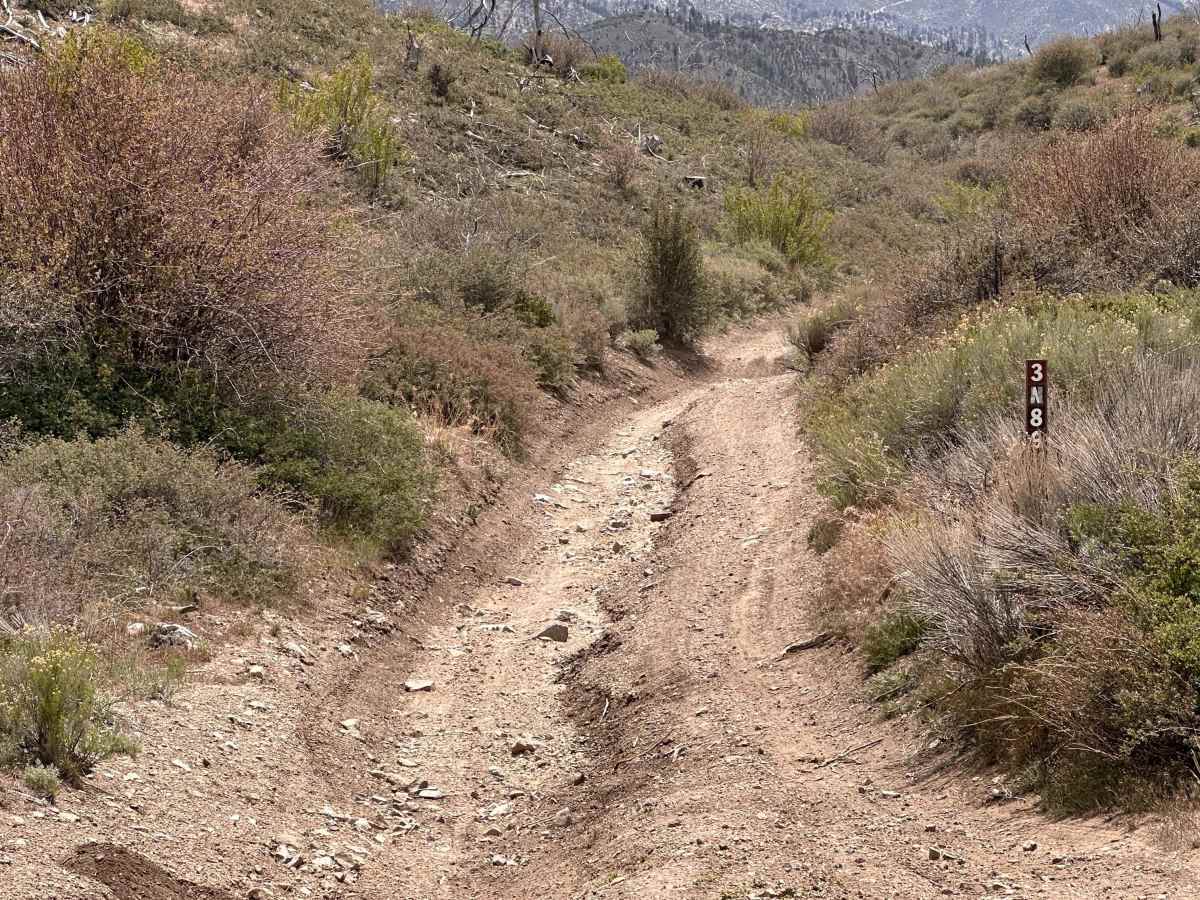 Saltbrush Trail photo 2