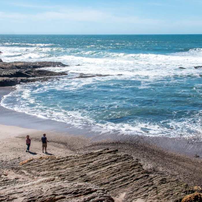 Near Bluff Trail Hike