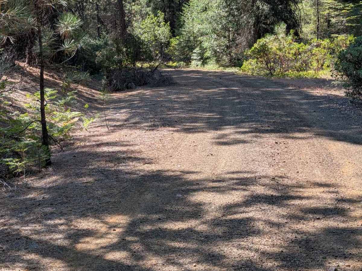 Naufus Creek Road - FS 1N09 photo 4