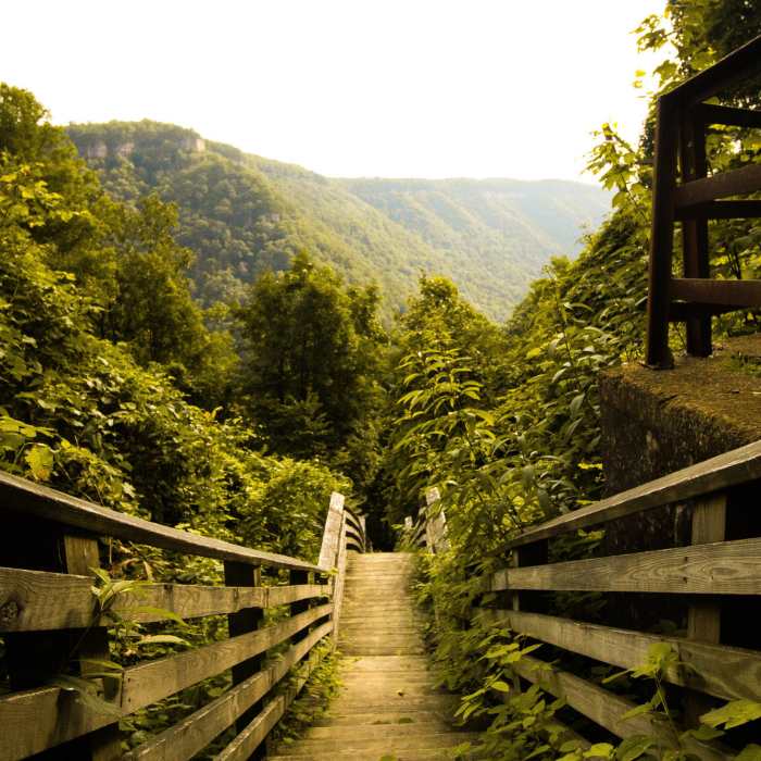 Near Kaymoor Miners Trail