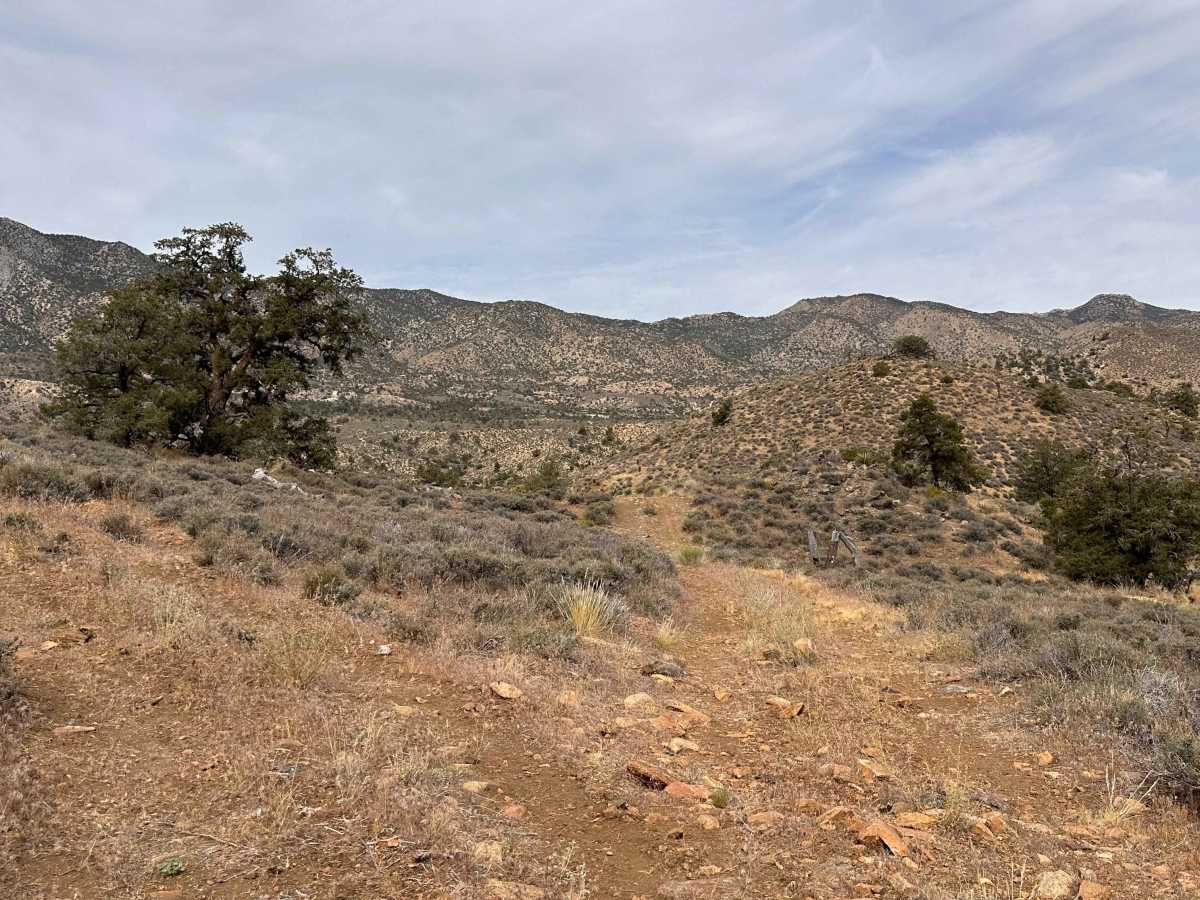 Canyon Cabin Edge Trail photo 5