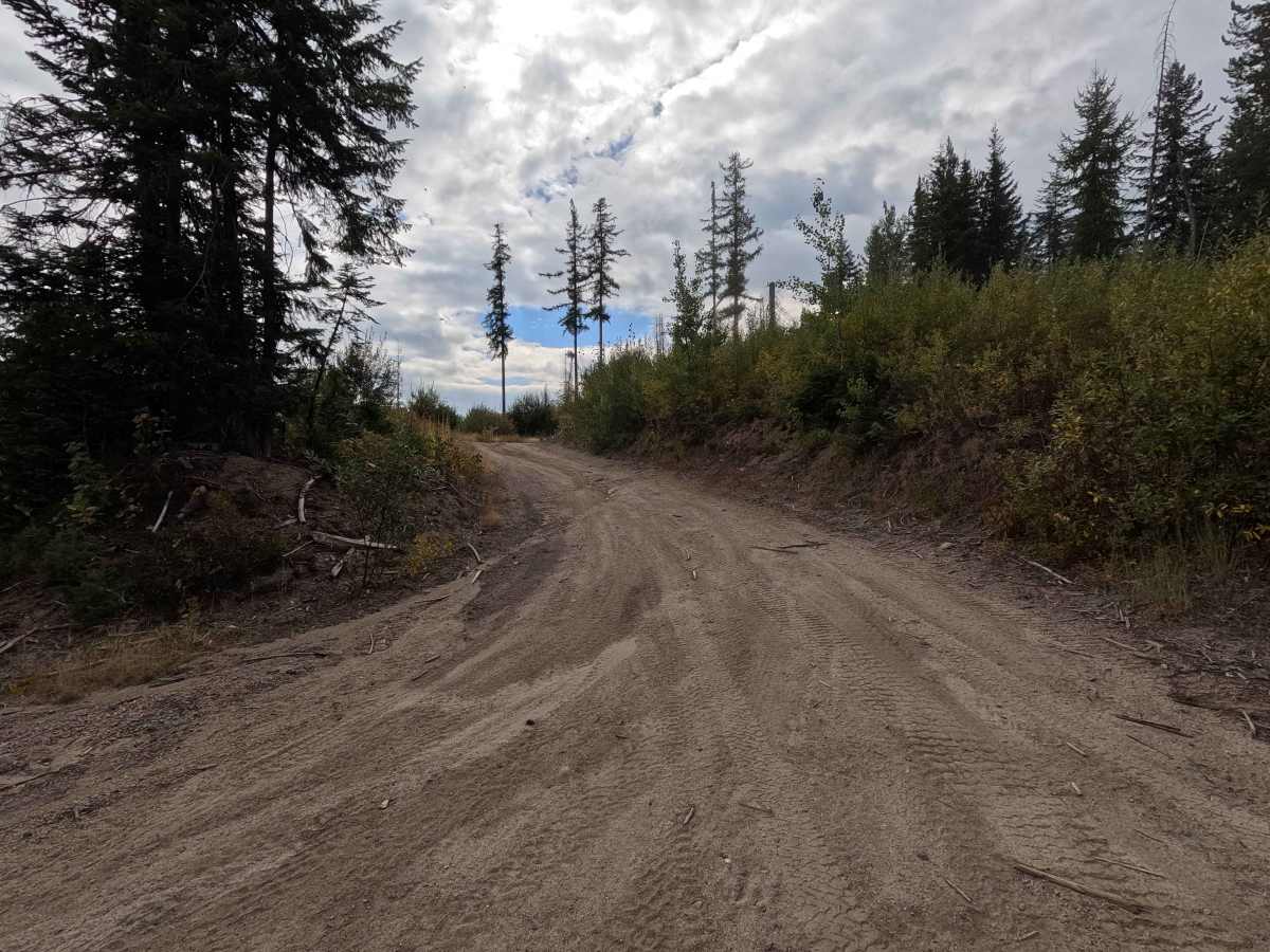 FS 1137 photo 5