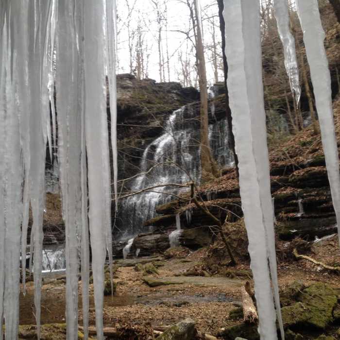 Near Short Springs Loop