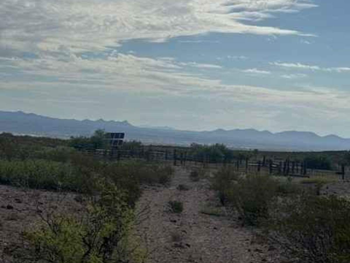 BLM SS1040 photo 6