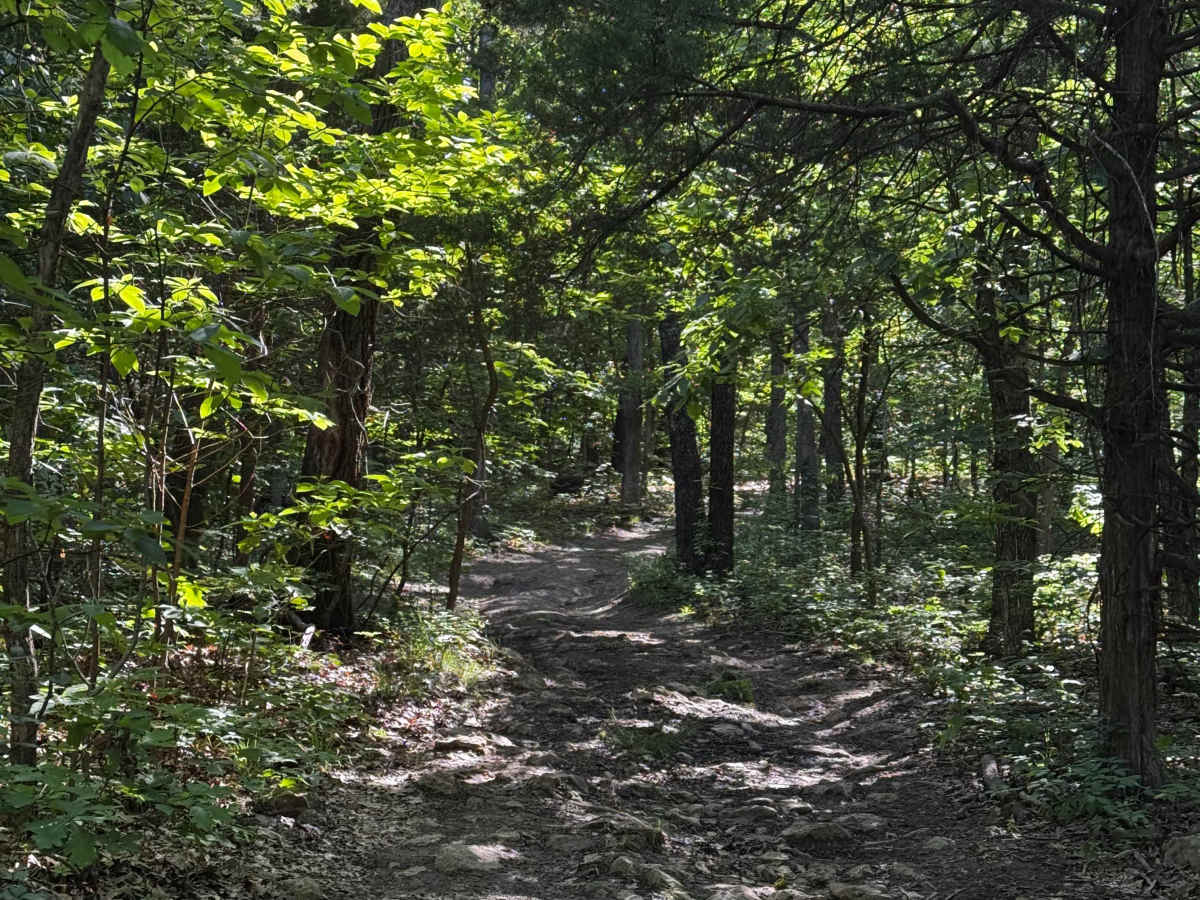 Inner Track 20 trail photo