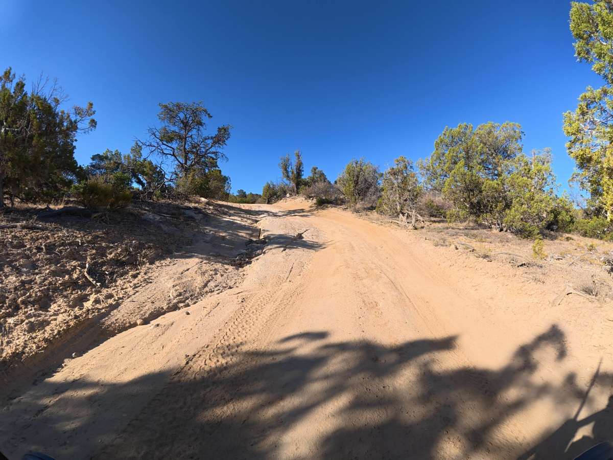 CR 36.2 photo 3