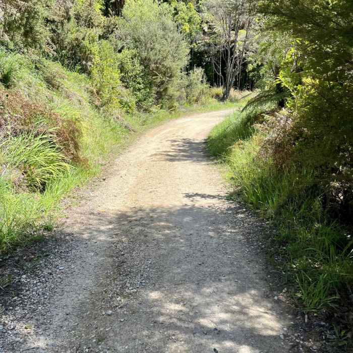 Near Separation Point Trail