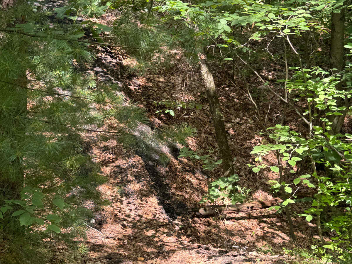 Trail 45 photo 5