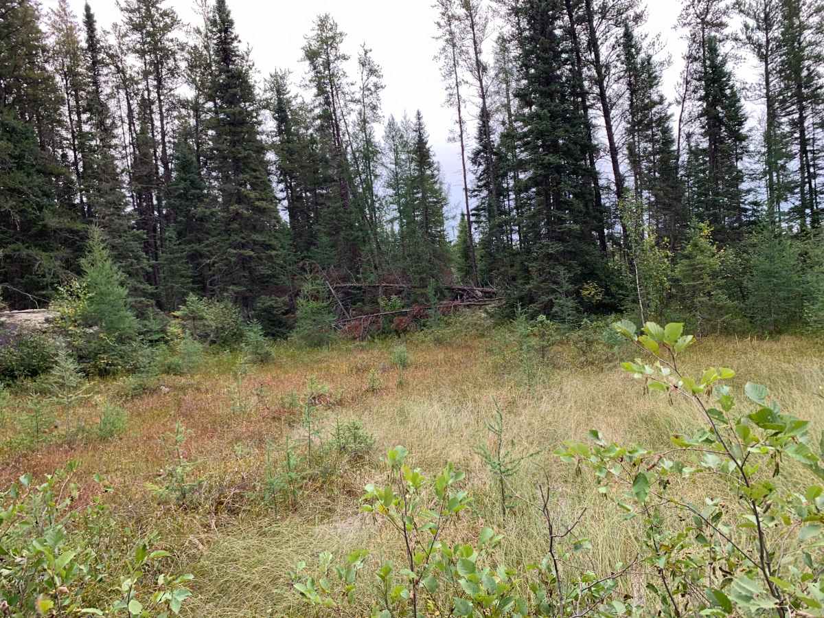Northwest Spur B Trail - FS 373B photo 6
