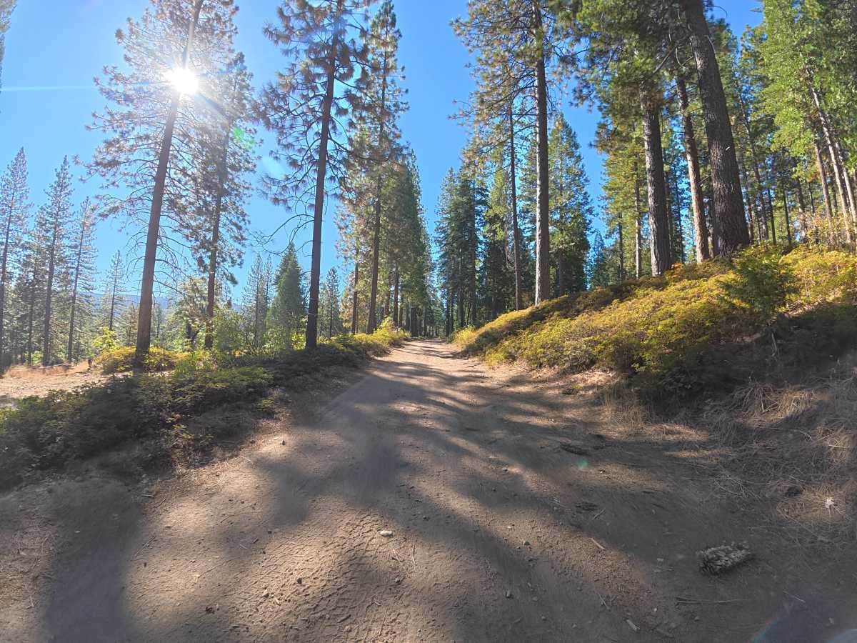 FS 4N89 trail photo