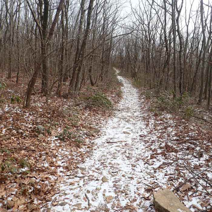 Near North/South Loop Near North/South Loop