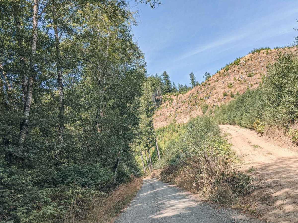 Blind Corners trail photo