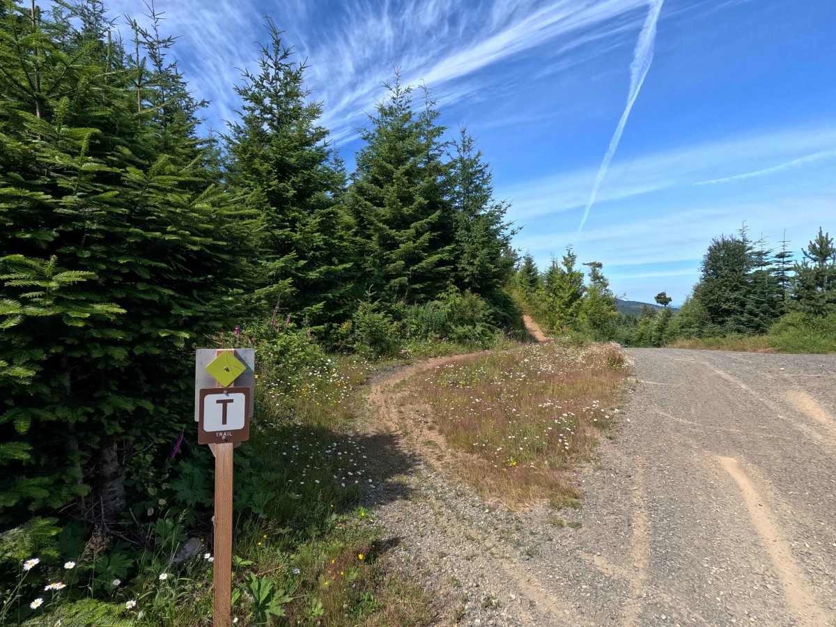 Freefall trail photo