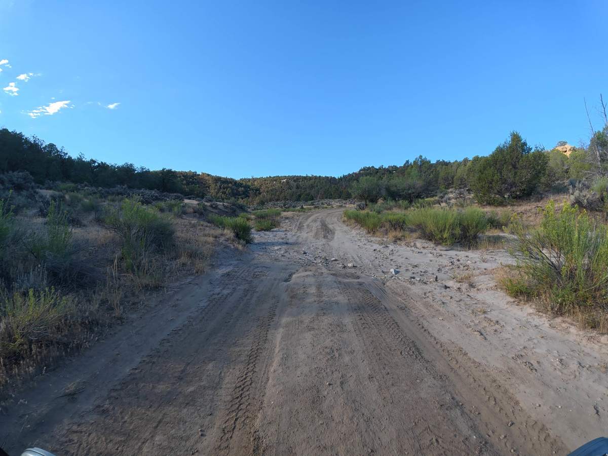 CR 36.2 photo 5