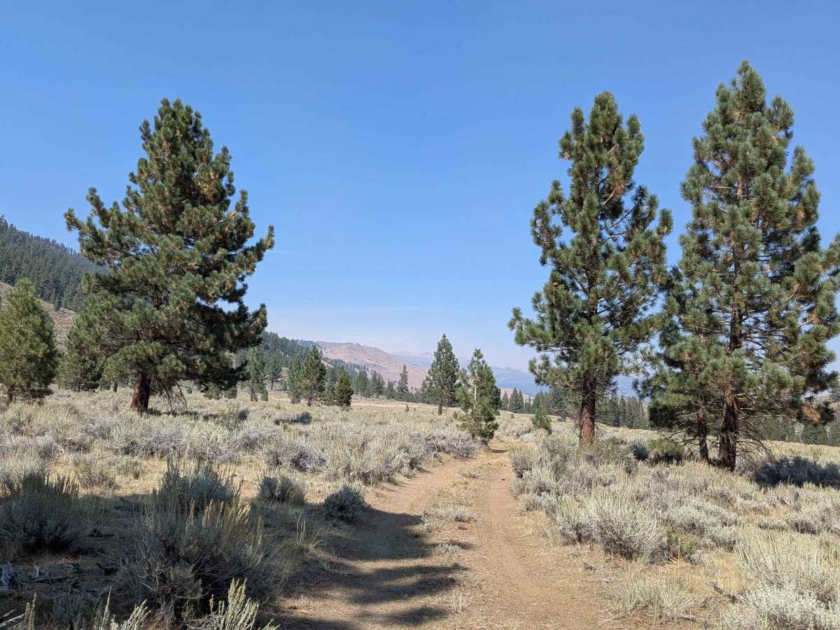 LaBrosse Creek Road - FS 32176 photo 5