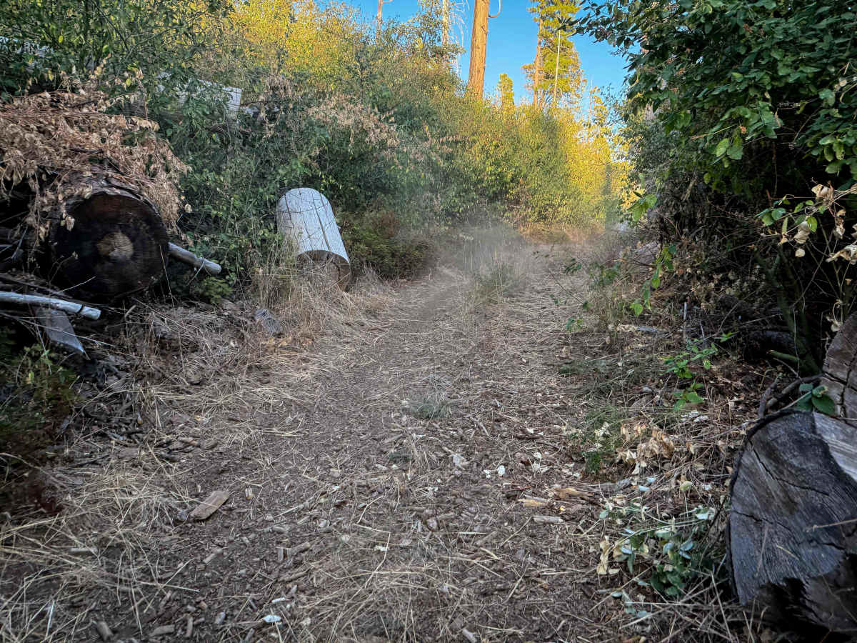 21E238 photo 3