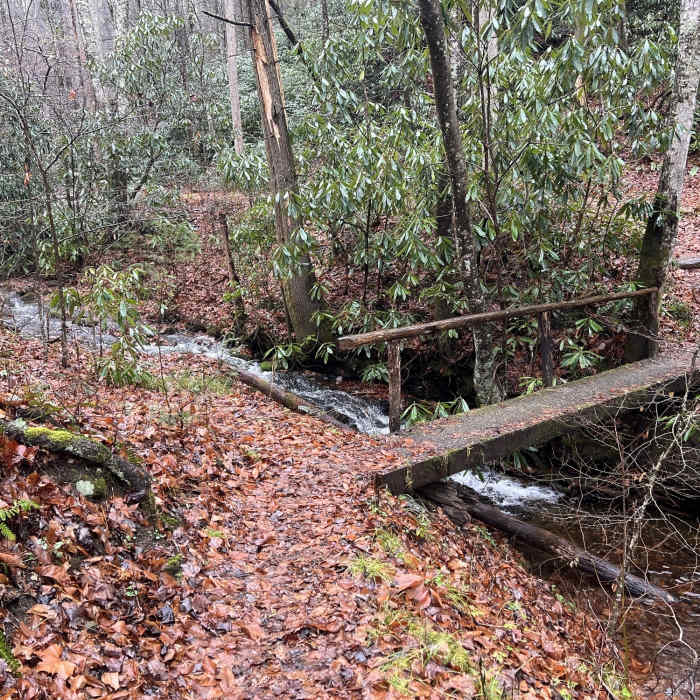Near Elkmont Nature Trail