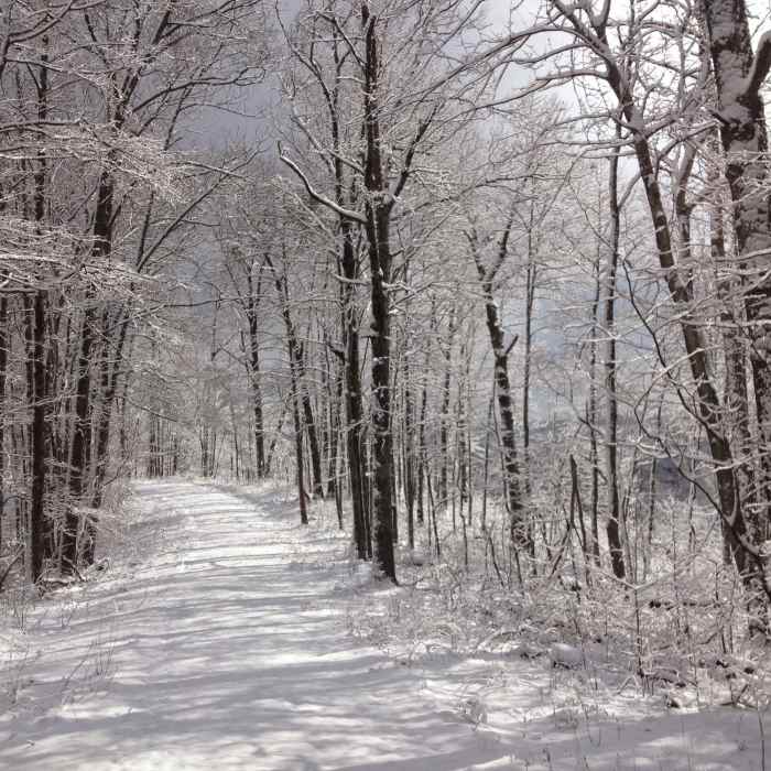 Near Tunnel Ridge Road North