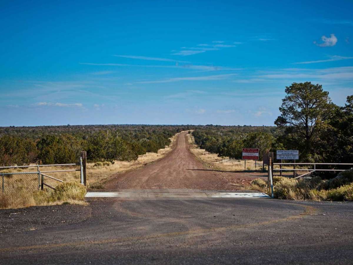 FR 417 trail photo