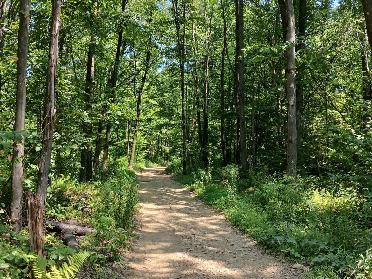 Gobbler Ridge - Rock Run Recreation Area photo 6