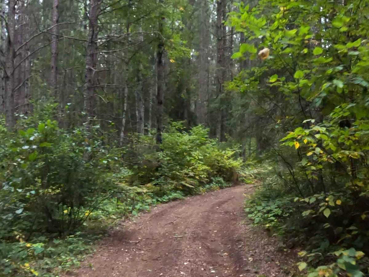 Beaver Road - FS 1892 photo 3