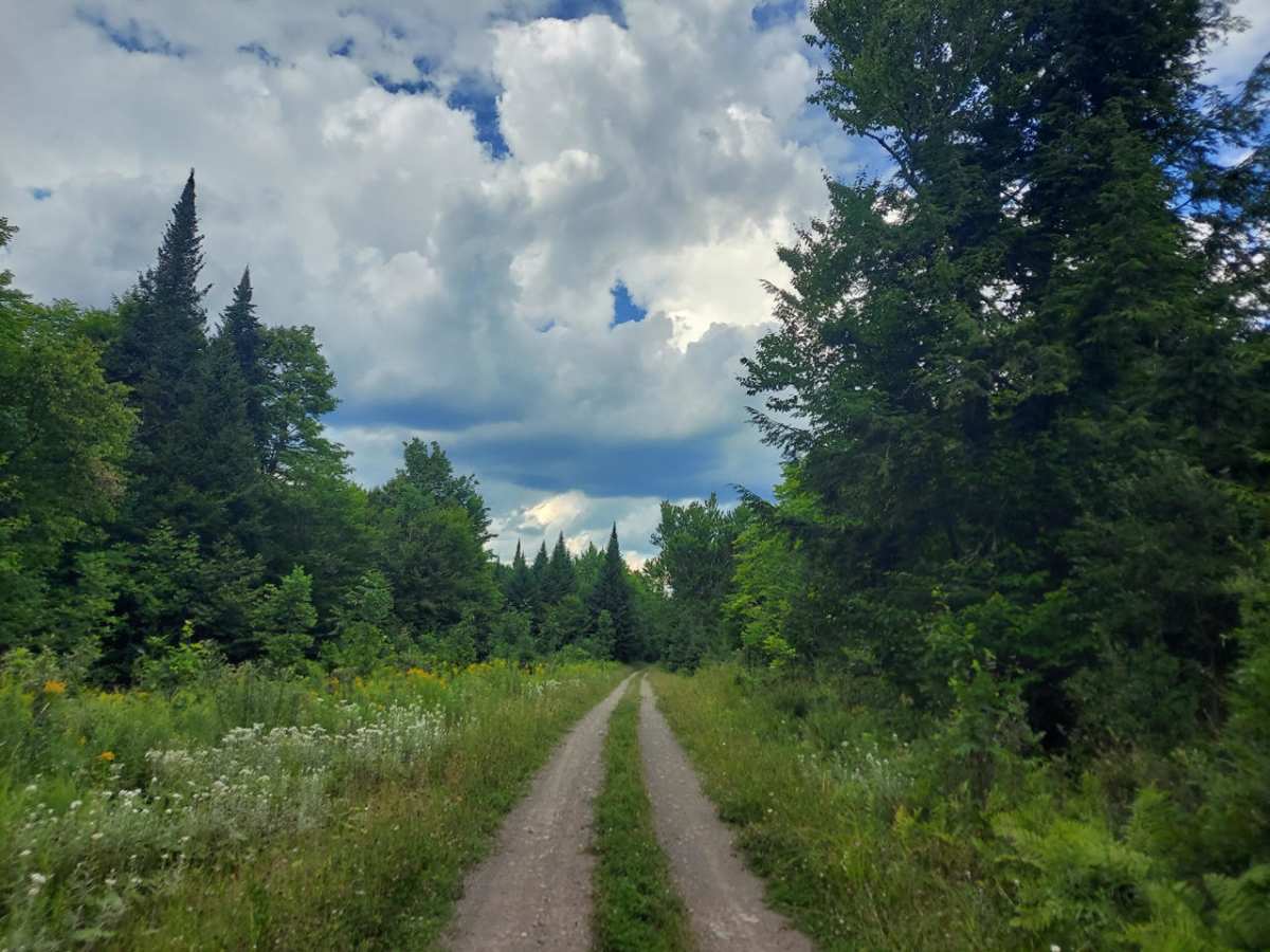 Lean-To Ridge Trail photo 5
