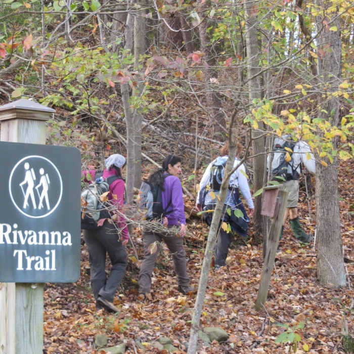 Near Rivanna Trail - Full