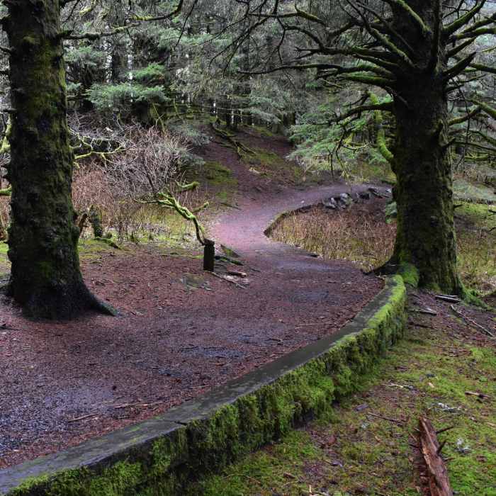 Near North Point Trail
