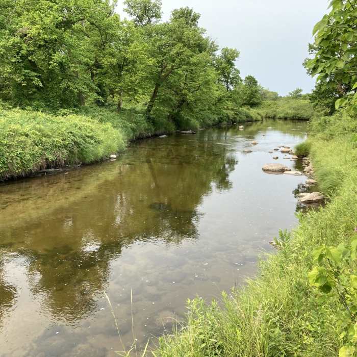 Near Buffalo River State Park Hiking Club Trail