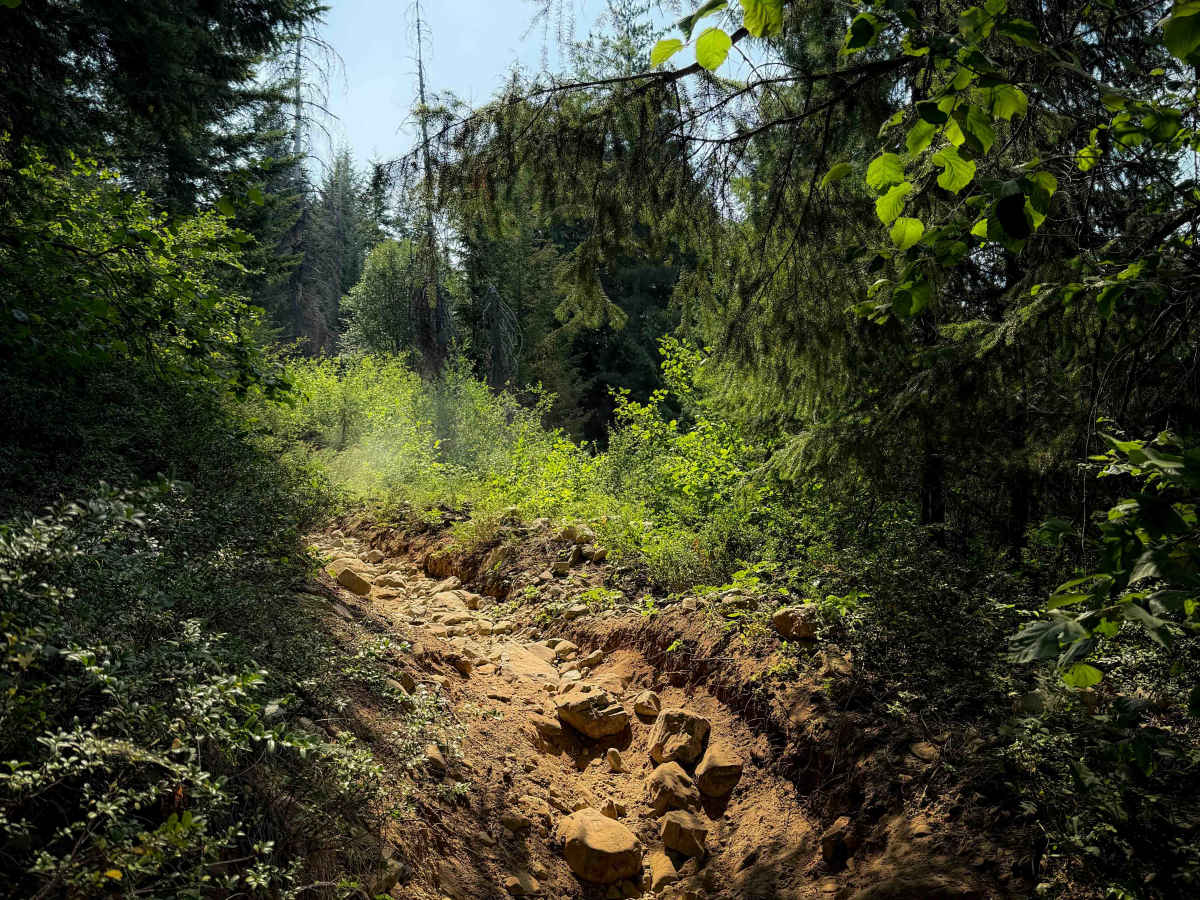 Jolly Mountain Trail - 1307 photo 5