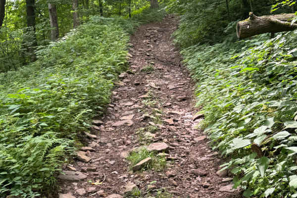 Trail 74